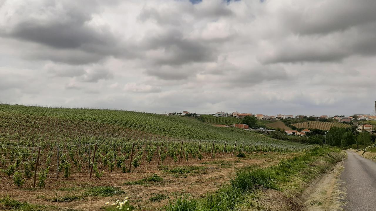 Trabalhos operacionais retomaram nas localidades da Freguesia